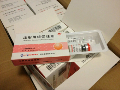 Livzon HCG 5000IU with sterile water